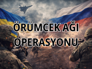 Örümcek Ağı Operasyonu